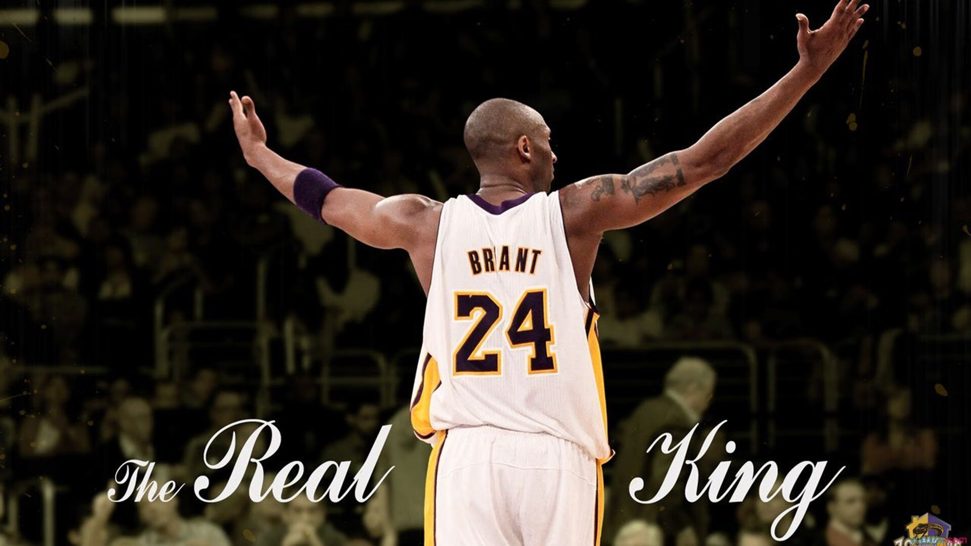 开云体育直播-温网鏖战ATP总决赛,纳达尔刷新纪录,坚韧铸就传奇